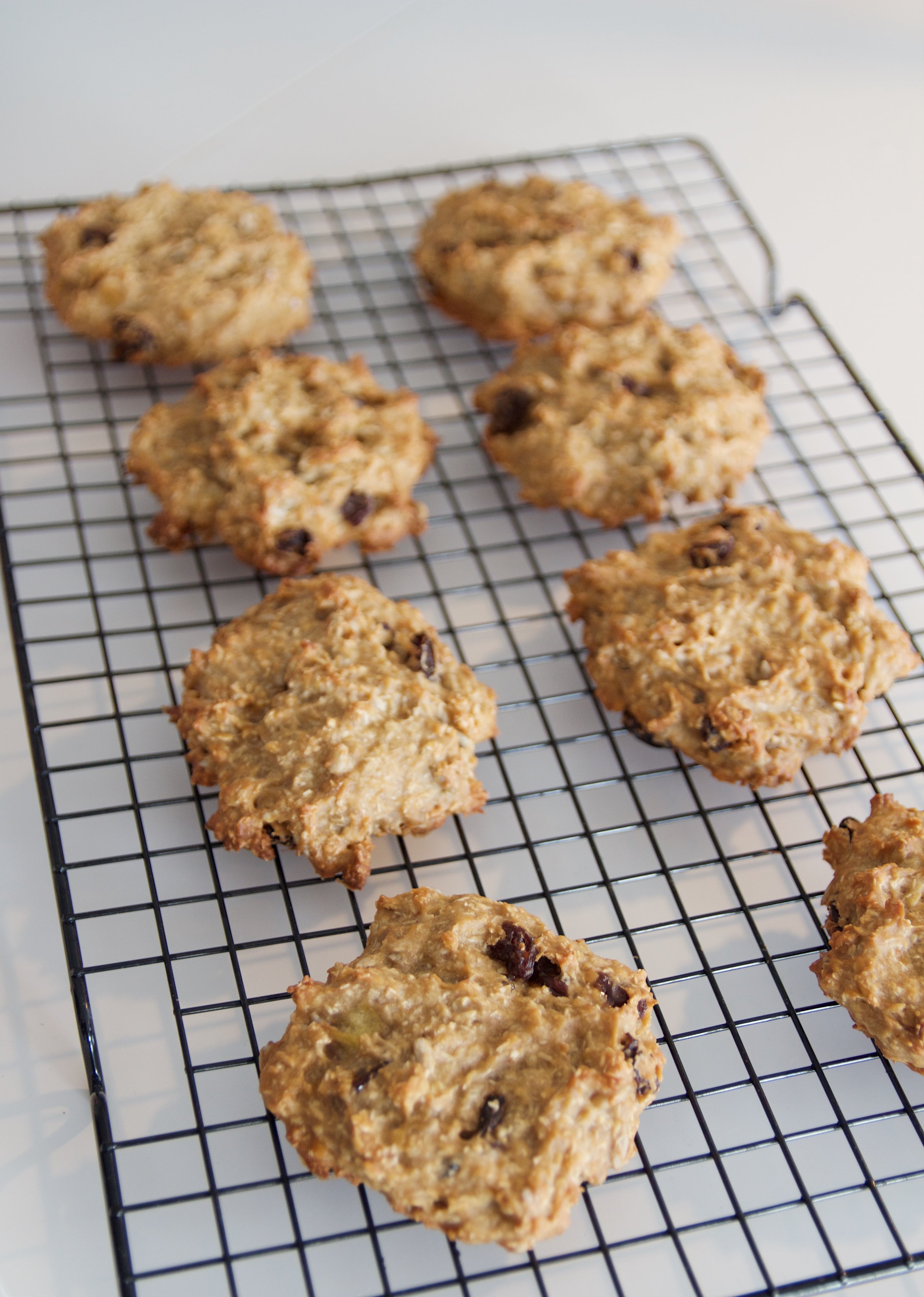 Karotten-Hafer-Rosinen Cookies