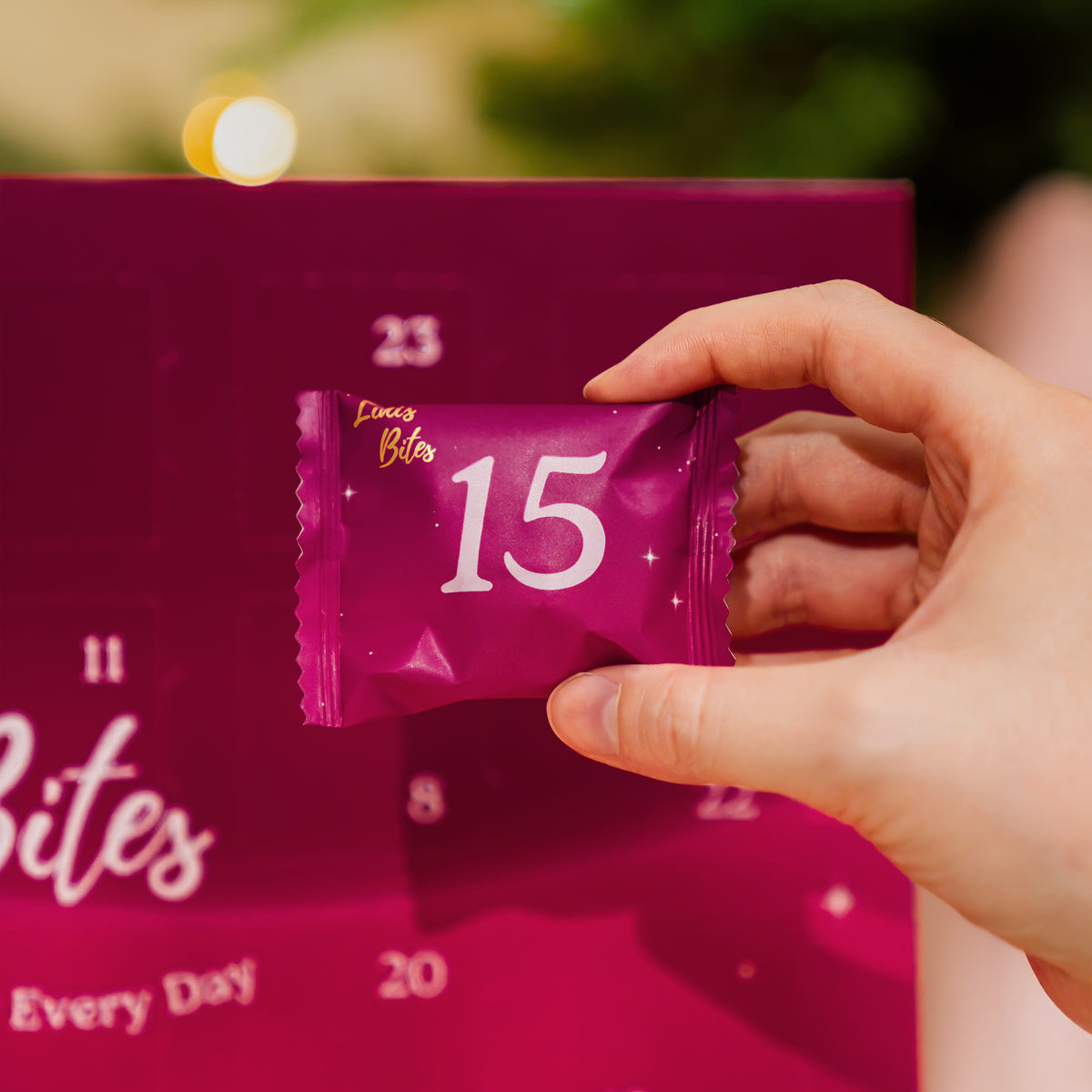Lini’s Bites Pralini Adventskalender 2026