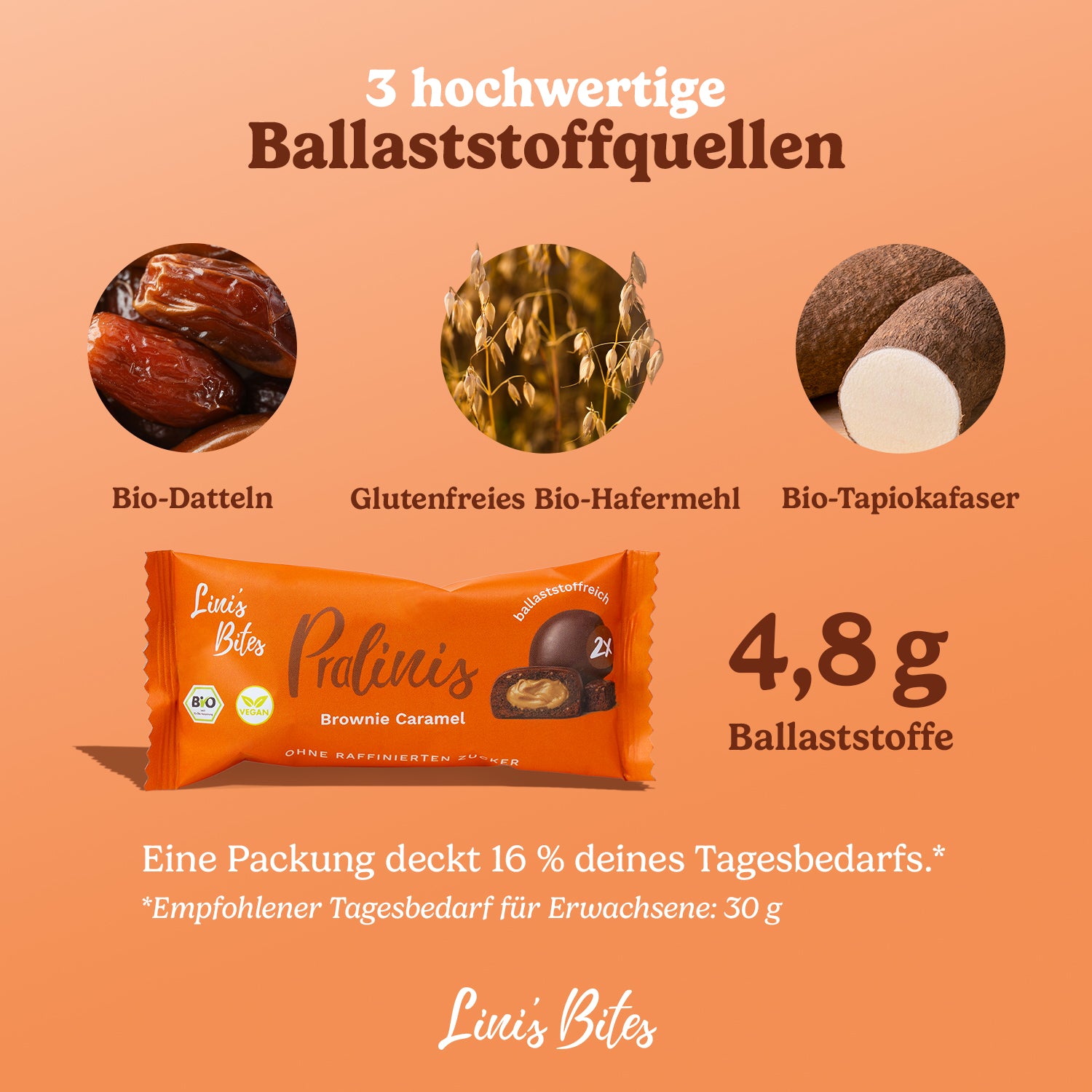 Bio Pralinis Brownie Caramel 2.0 (12er Box)