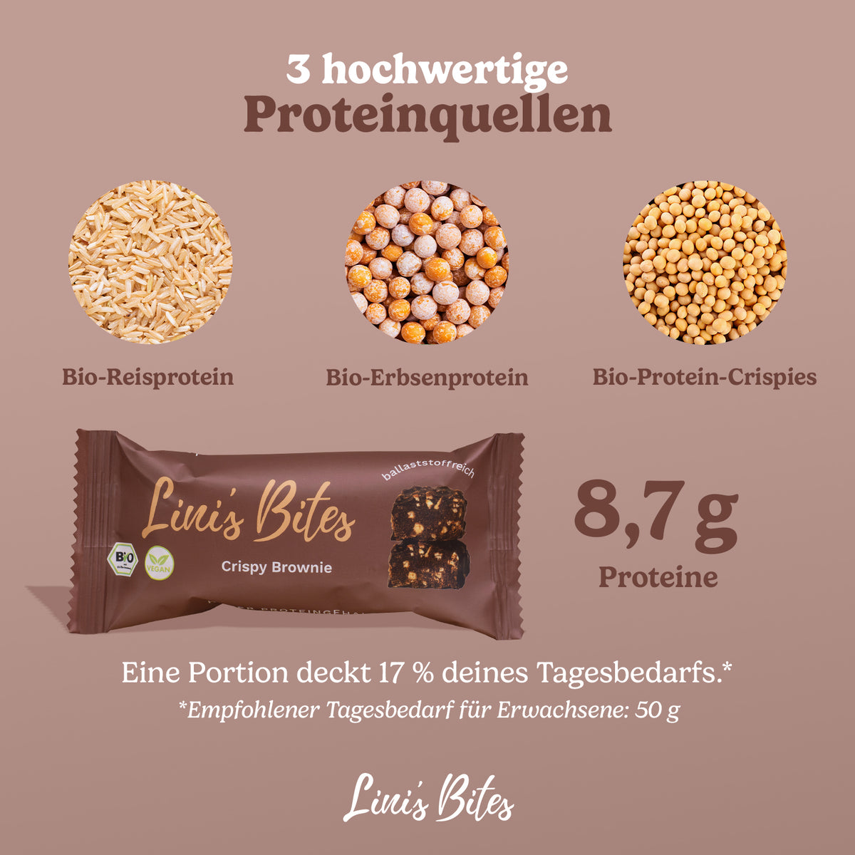 Bio Riegel Crispy Brownie (12er Box)