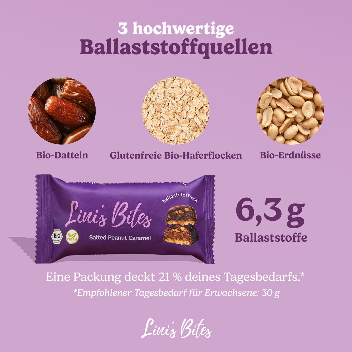 Bio Riegel Salted Peanut Caramel (12er Box)
