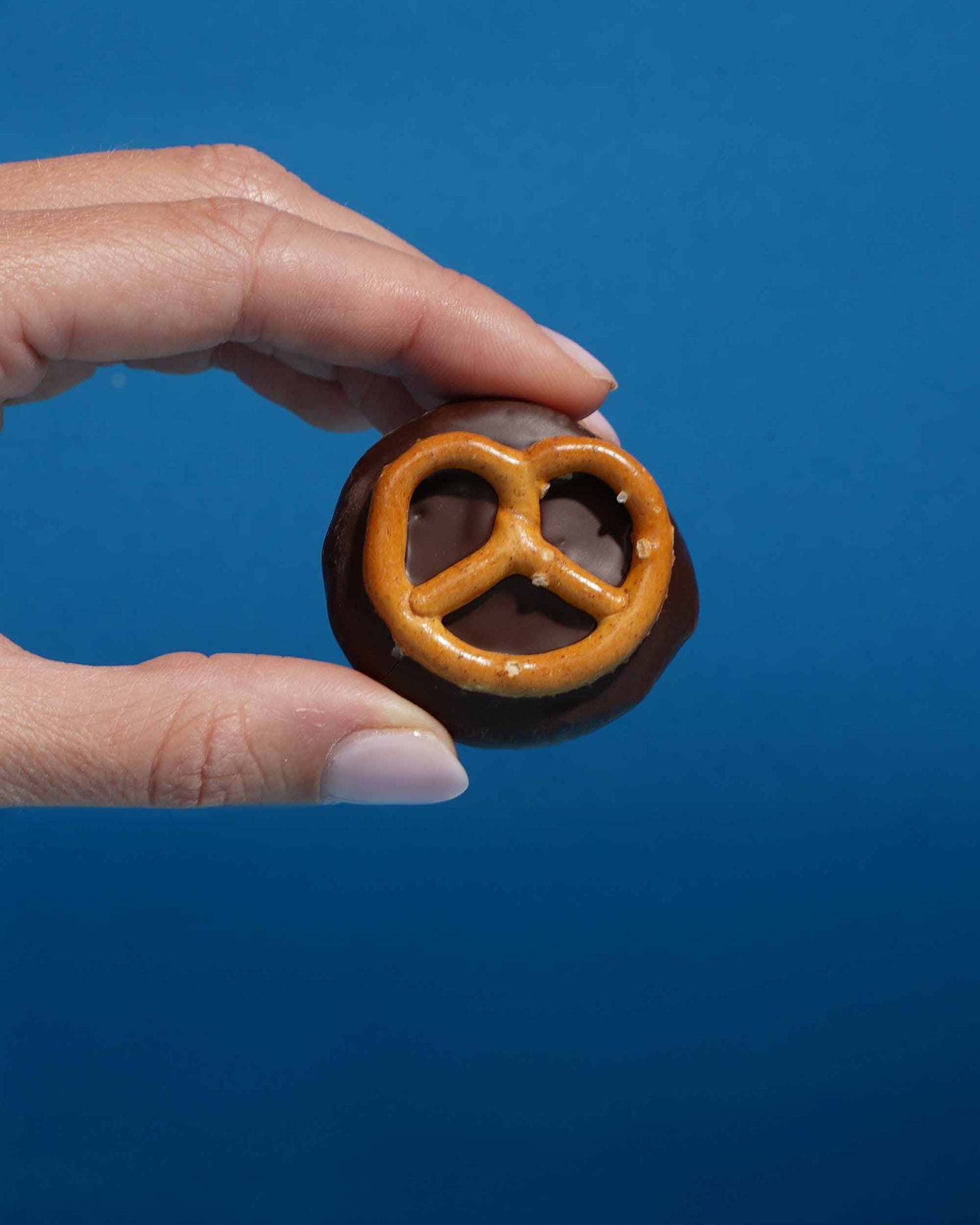 Bio Pralinis Salted Pretzel (12er Box) - VORBESTELLUNG