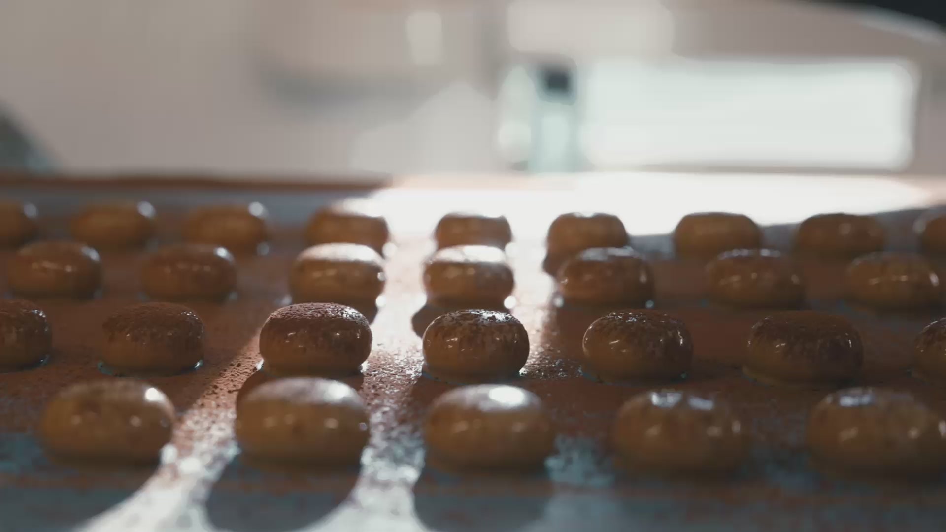 Laden Sie das Video: 